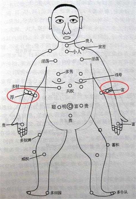 痣的位置代表什麼|痣的位置透露出這些訊息！上手臂有痣不乏追求者、手。